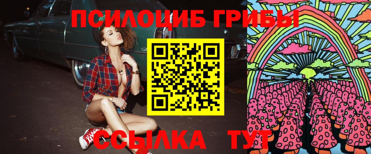 Вологда  Псилоцибиновые грибы MAGIC MUSHROOMS  Вход с VPN  Псилоцибиновые грибы MAGIC MUSHROOMS 